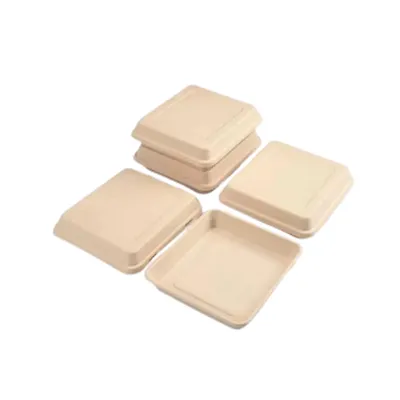 Bagasse Square Box